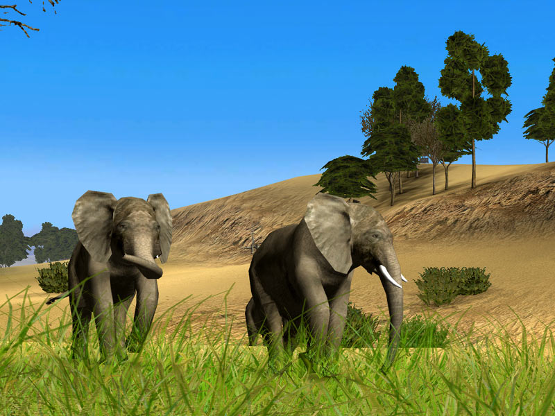 elephants.jpg